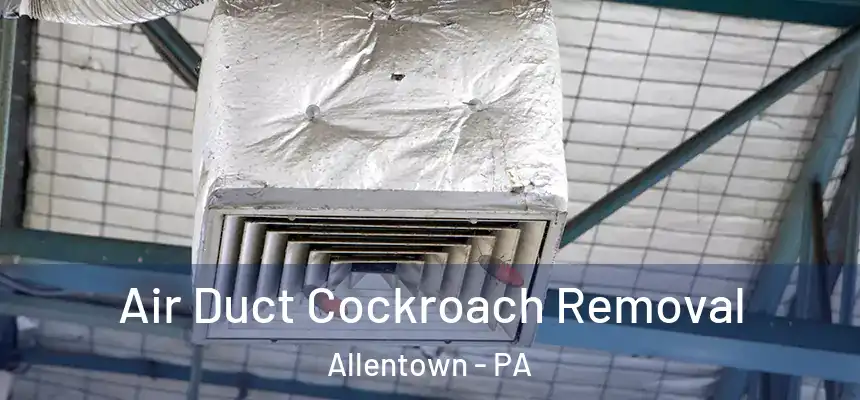 Air Duct Cockroach Removal Allentown - PA