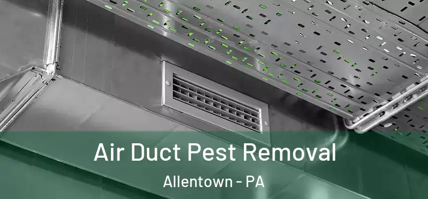 Air Duct Pest Removal Allentown - PA