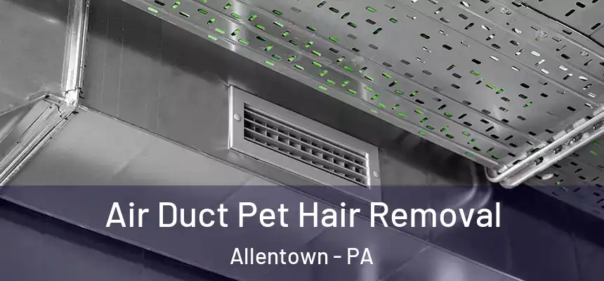  Air Duct Pet Hair Removal Allentown - PA