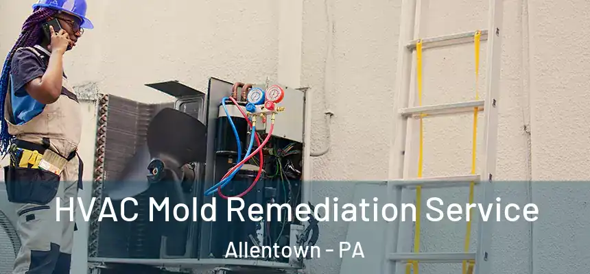 HVAC Mold Remediation Service Allentown - PA