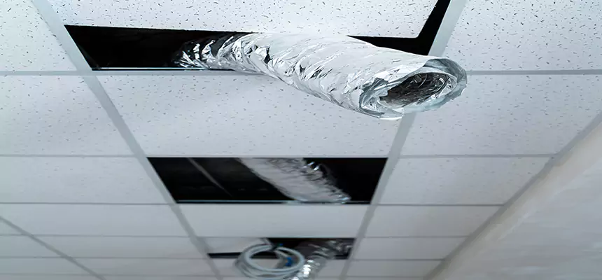 Our Air Duct Pet Hair Removal Services in Allentown, PA