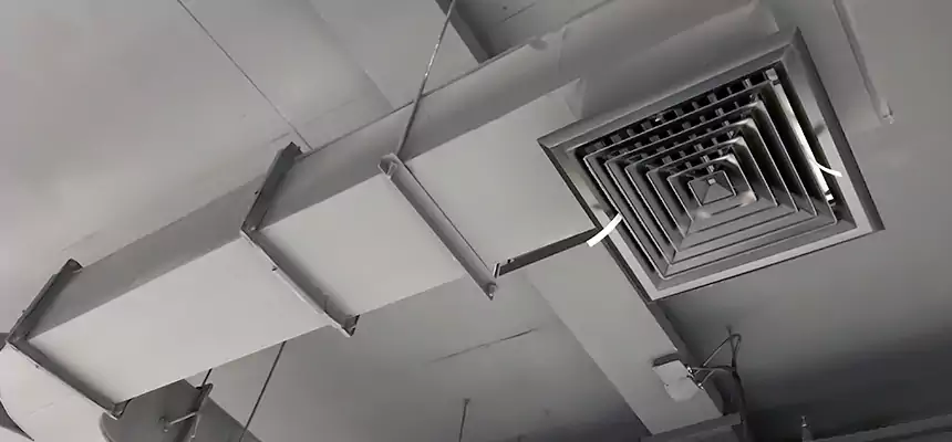 Restorative Allergy Relief Vent Cleaning – Coil, Blower & Housing Detail in Allentown