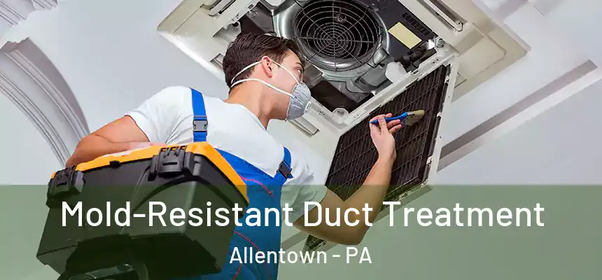 Mold-Resistant Duct Treatment Allentown - PA