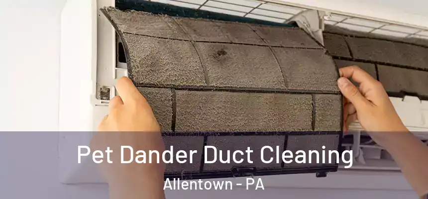 Pet Dander Duct Cleaning Allentown - PA