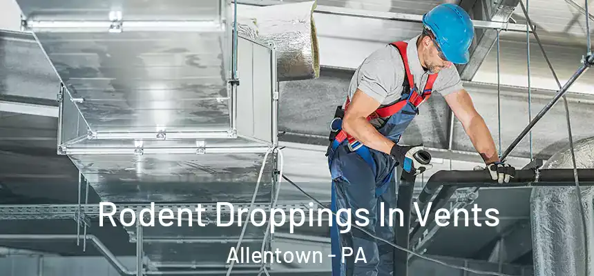Rodent Droppings In Vents Allentown - PA