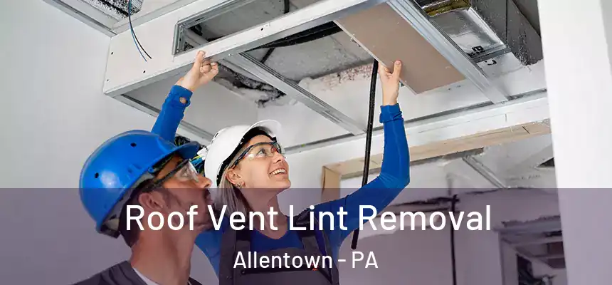Roof Vent Lint Removal Allentown - PA