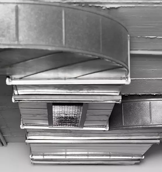 Professional Air Duct Pest Removal in Allentown, PA