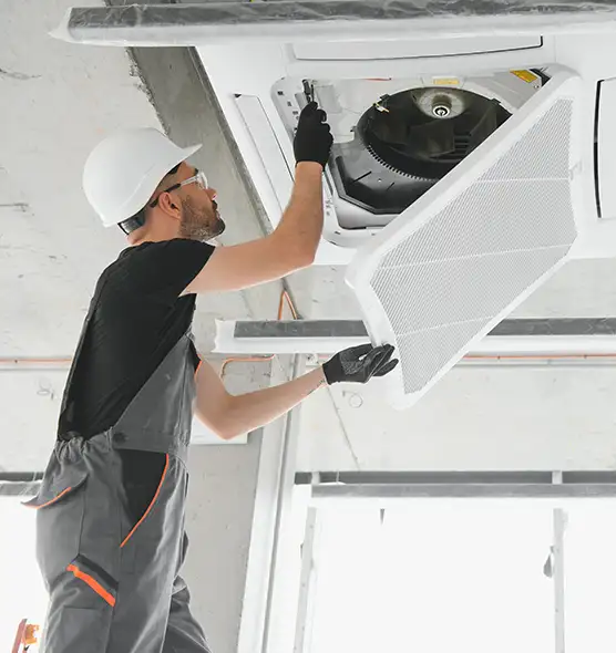 About Air Duct Rodent Removal in Allentown, PA