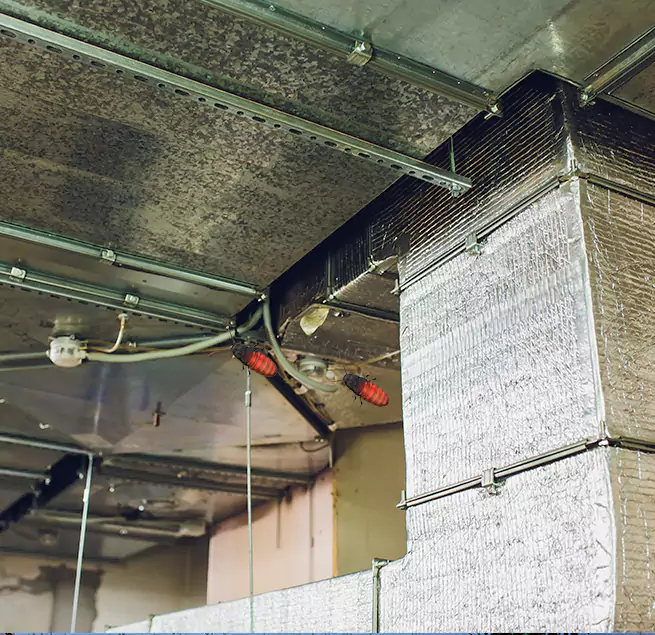 Why Homeowners & Businesses Trust Us Allentown, PA?