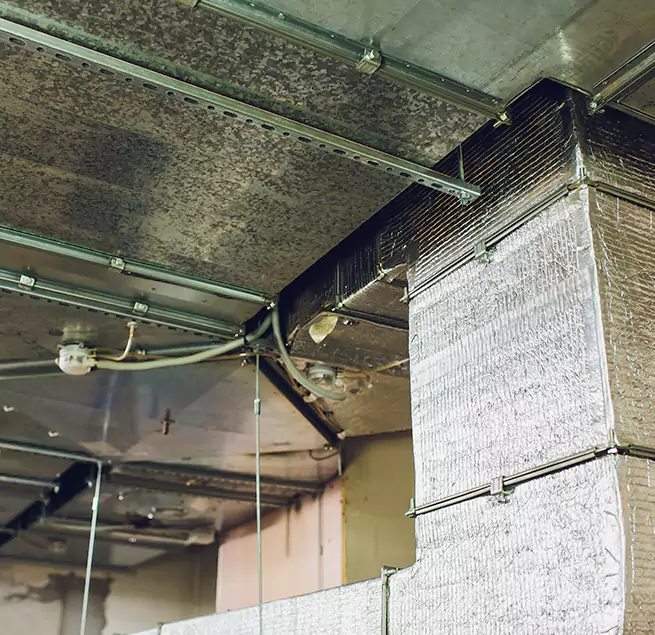 Why Homeowners & Businesses Trust Us in Allentown, PA?